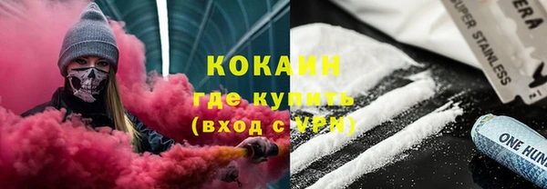 индика Бородино