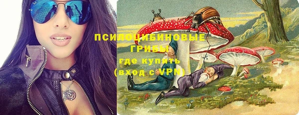 хмурый Бронницы