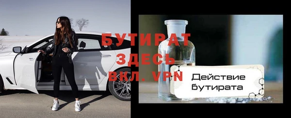 индика Бородино