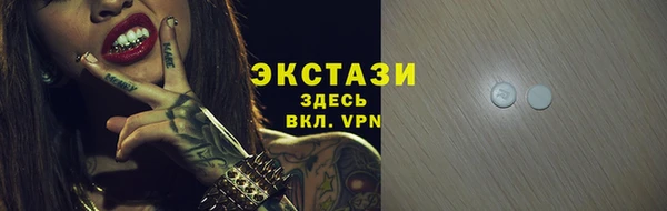 индика Бородино