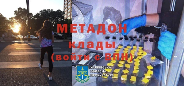 индика Бородино