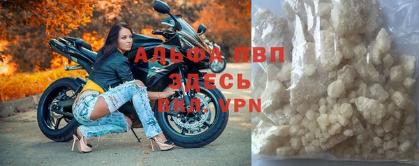 индика Бородино