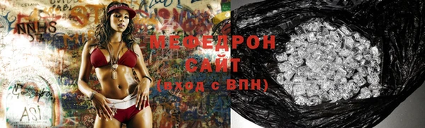 индика Бородино
