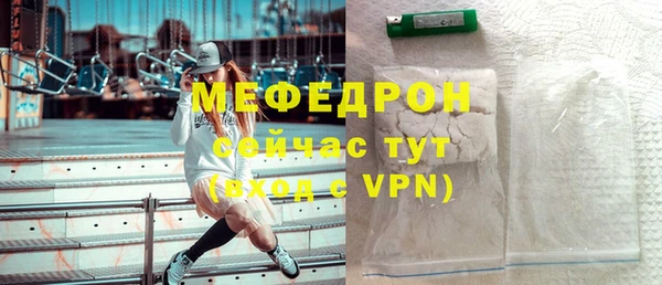 индика Бородино