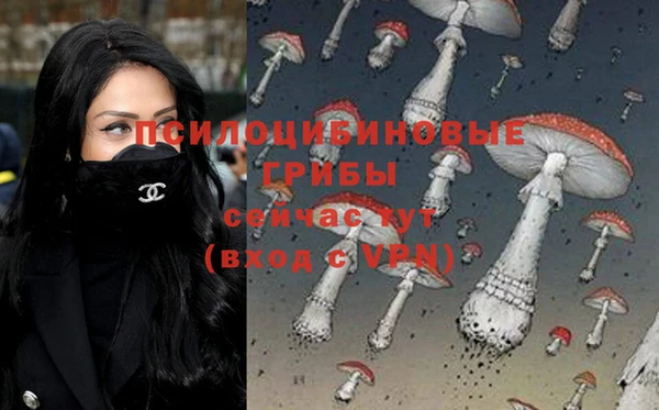 хмурый Бронницы