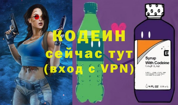 индика Бородино
