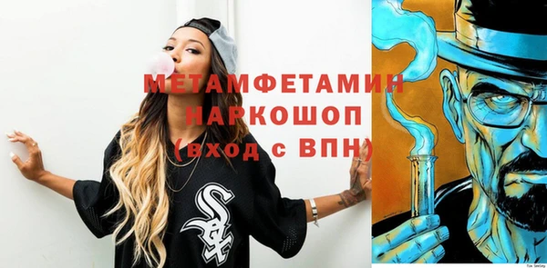 индика Бородино