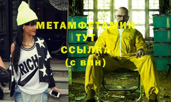 индика Бородино