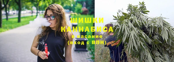 хмурый Бронницы
