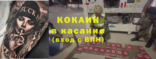 индика Бородино