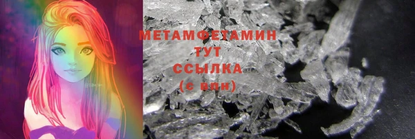 индика Бородино