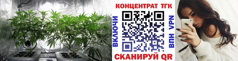 купить   Оса  ТГК вейп с тгк 